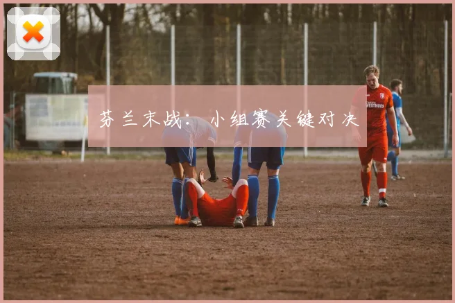 芬兰末战：小组赛关键对决