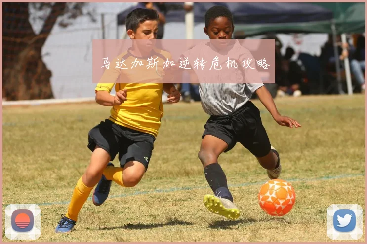 马达加斯加逆转危机攻略