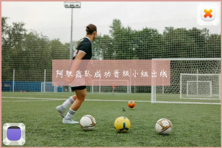 阿联酋队成功晋级小组出线