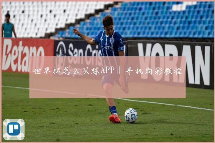 世界杯怎么买球APP｜手机购彩教程