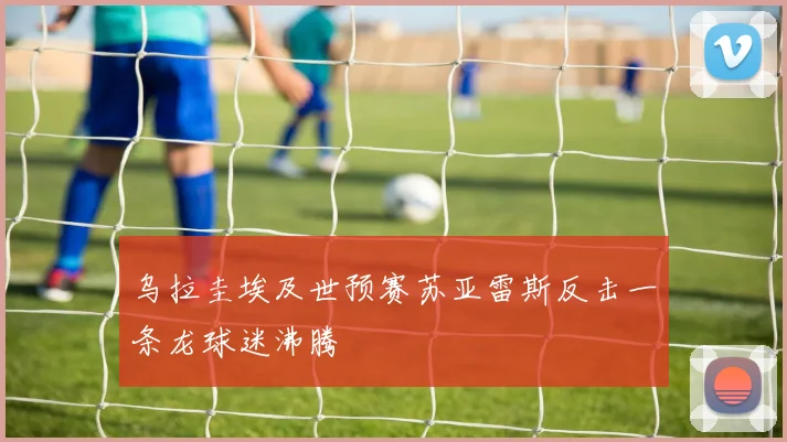 乌拉圭埃及世预赛苏亚雷斯反击一条龙球迷沸腾